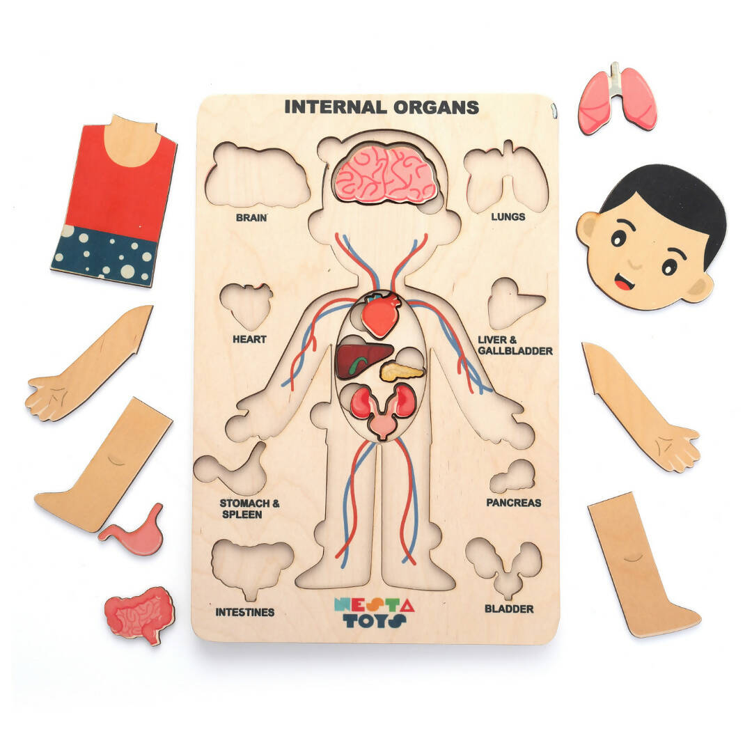 Nesta Toys Human Body | Internal Organs Wooden Puzzle | Grocsy