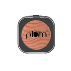 Plum Cheek-A-Boo Shimmer Blush 127 Bare Necessity | Grocsy
