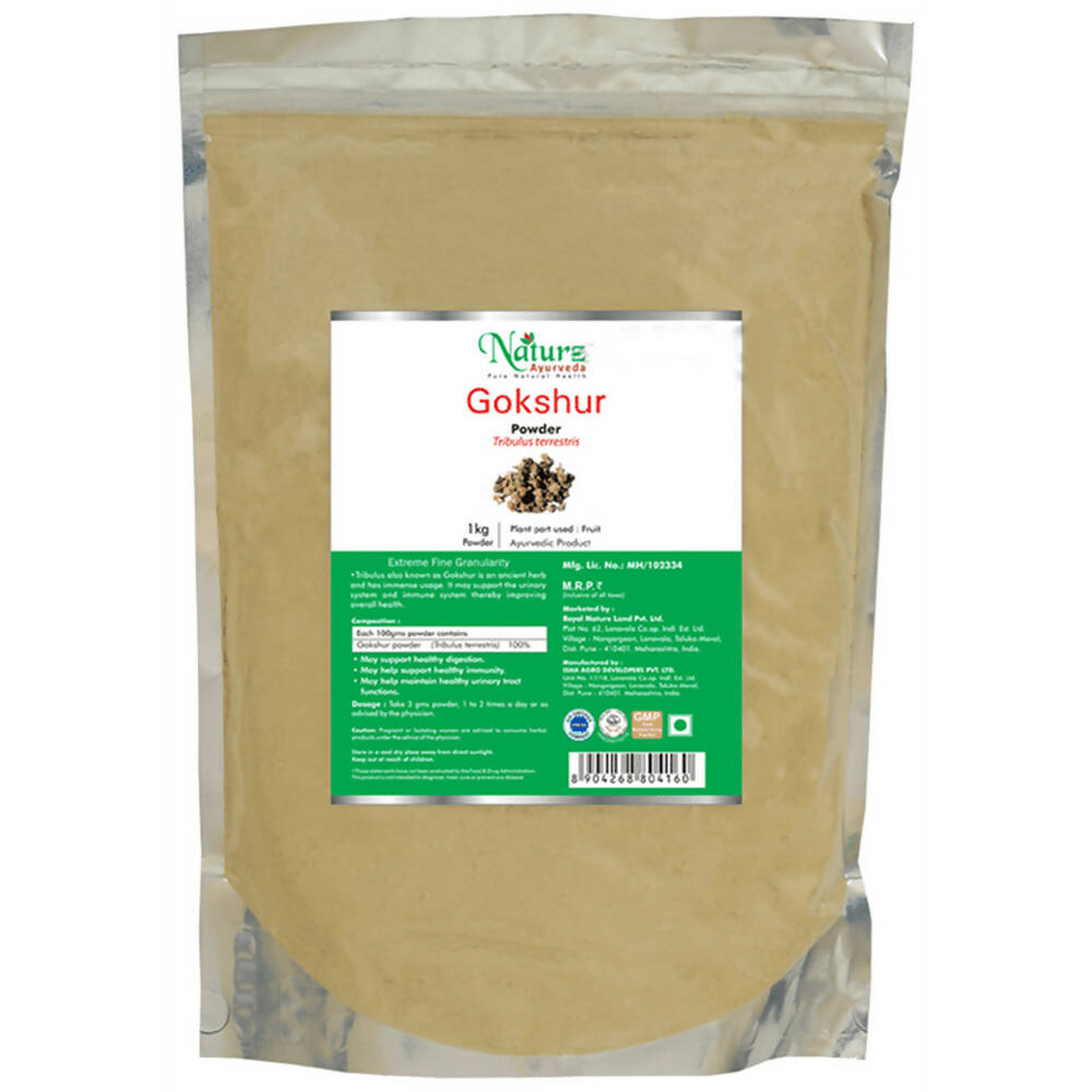 Naturz Ayurveda Gokshur Powder | Grocsy