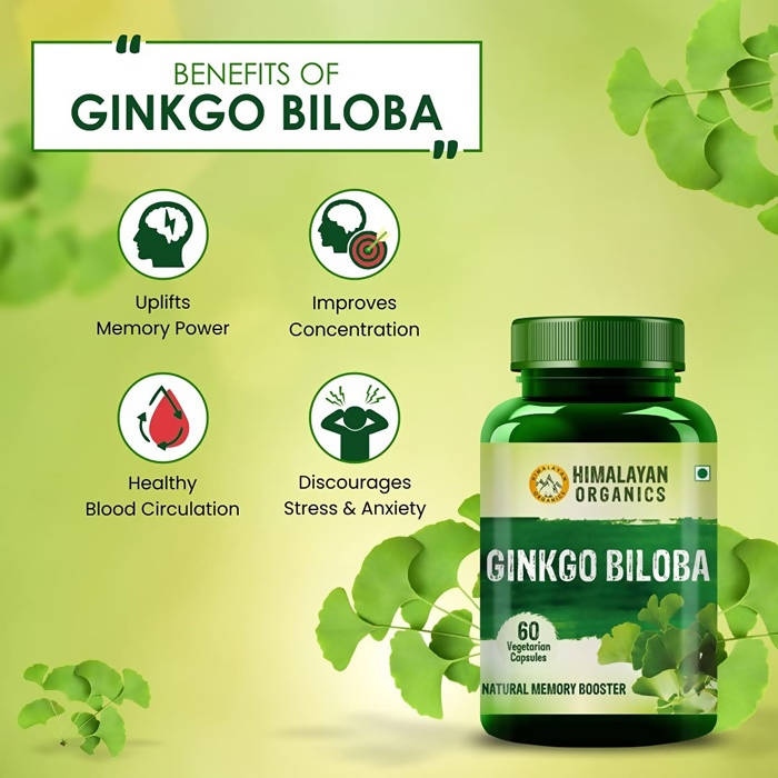 Himalayan Organics Ginkgo Biloba Vegetarian Capsules | Grocsy