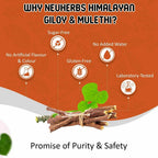 Neuherbs Himalayan Giloy Mulethi Juice | Grocsy