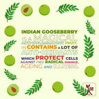 Ningen Gooseberry Hair Oil | Grocsy