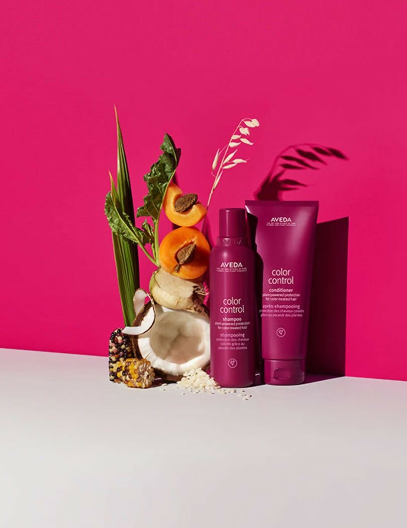 Aveda Travel Size Color Control Conditioner | Grocsy