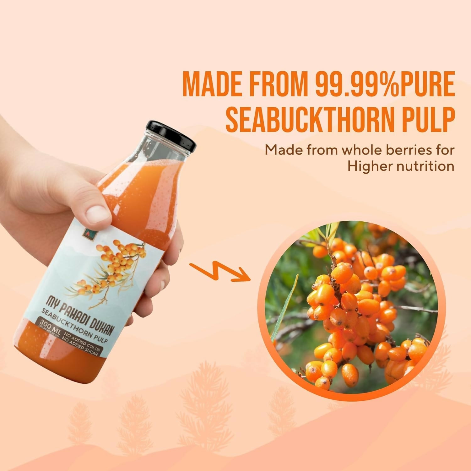 My Pahadi Dukan Himalayan Sea Buckthorn Pulp | Grocsy
