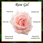 Vellasio Herbal Natural Rose & Aloevera Facial Massage Gel | Grocsy