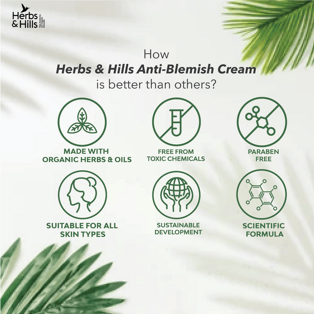 Herbs & Hills Anti Blemish Cream | Grocsy