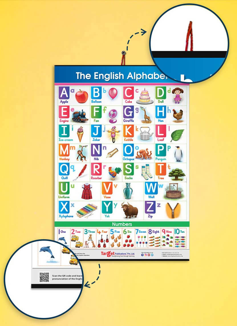 Jumbo English Alphabet and Numbers Hanging Chart for Kids | Grocsy