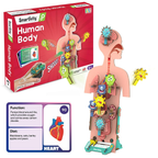 Smartivity Human Body Toy For Kids 6-12 Years Body Organs & Functions | Grocsy