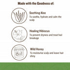Soultree Hair Conditioner | Grocsy