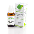 Similia Homeopathy Phyllanthus Niruri Mother Tincture Q | Grocsy