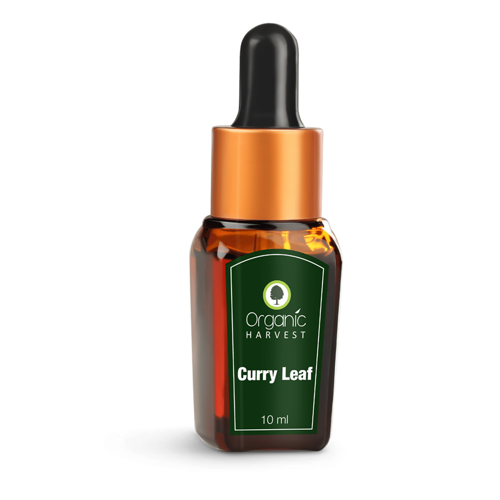 Organic Harvest Curry Leaf Essential Oil | Grocsy