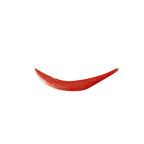 Soultree Ayurvedic Lip Gloss - Rich Earth | Grocsy