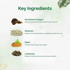 Dr. Vaidya's PCOS Care Capsules | Grocsy