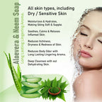 Prakriti Herbal Soap Aloevera and Neem | Grocsy