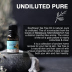 Soulflower Tea Tree Essential Oil | Grocsy