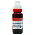 Dr. Reckeweg Scrophularia N Mother Tincture Q | Grocsy