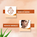 Sunny Herbals Anti Aging Lotion | Grocsy