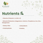 Bionode Organics Jackfruit Powder Gluten Free Pure Anti Pimple Powder | Grocsy