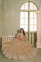 Eilara Classical Khaki Net A - Line Lehenga Choli | Grocsy