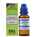 SBL Homeopathy Aesculus Hippocastanum Dilution | Grocsy