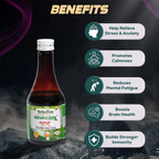Rajasthan Herbals Neurozen Syrup | Grocsy