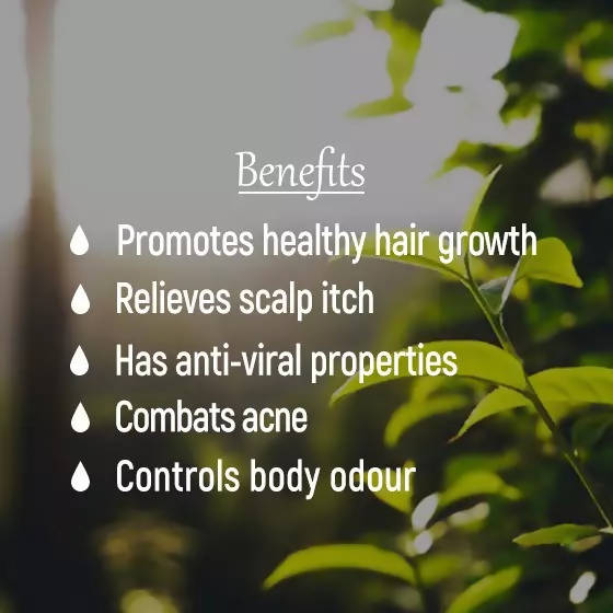 The Wellness Shop Tea Tree Oil | Grocsy