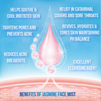 Sarva by Anadi Jasmine Face Mist | Grocsy