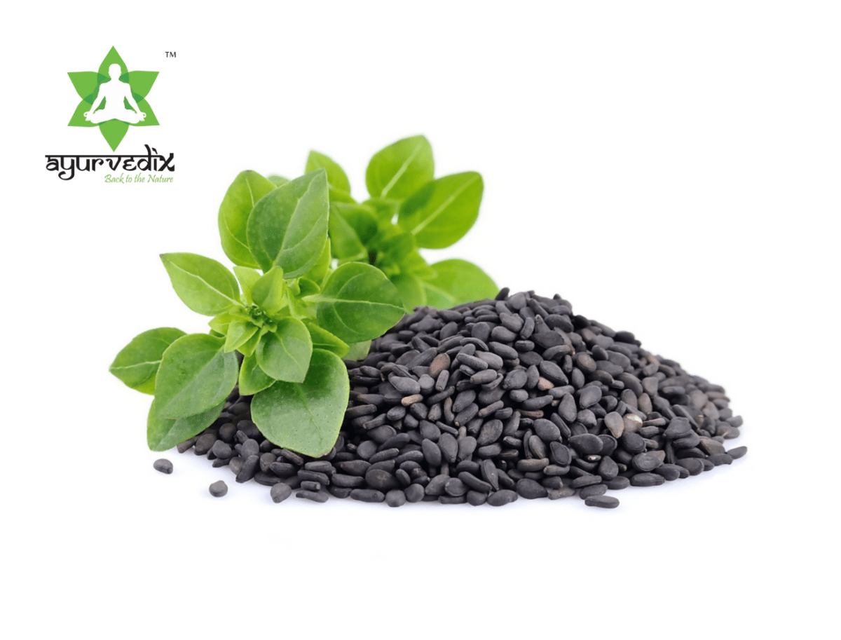 Ayurvedix Nutritious Basil Seeds | Grocsy