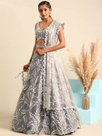 House of Panchhi Grey Organza Sequins & Zarkan embroidery Lehenga choli & Dupatta | Grocsy