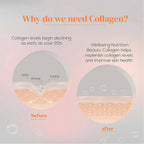 Wellbeing Nutrition Glow Korean Marine & Beauty Collagen Combo: Tropical Bliss & Mango Peach Flavor | Grocsy