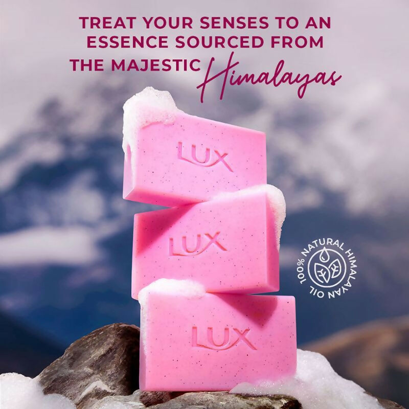 Lux Essence Of Himalayas Rose & Aloe Vera Exfoliating Soap | Grocsy
