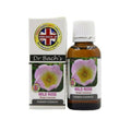 Dr. Bach's Wild Rose (Pure Essence) Bach Flower | Grocsy