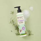 Pilgrim Spanish Rosemary & Biotin Anti Hairfall Shampoo For Reducing Hair Loss & Breakage | Grocsy