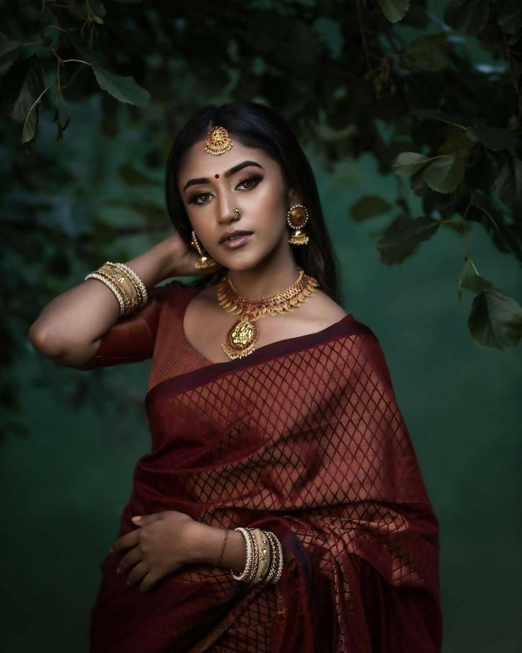 DEIANA'S Beautiful Designer Golden zari Soft Lichi Silk Saree - Brown | Grocsy