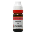 Dr. Reckeweg Gambogia Dilution | Grocsy