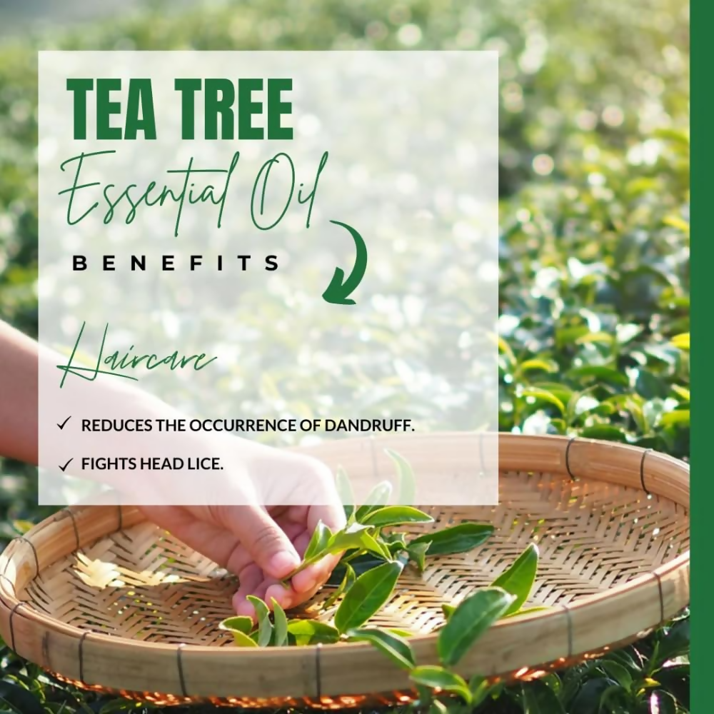 Camia Organic Tea Tree Essential Oil | Grocsy