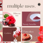 Organic AyurveGrocsyn Hibiscus Powder | Grocsy