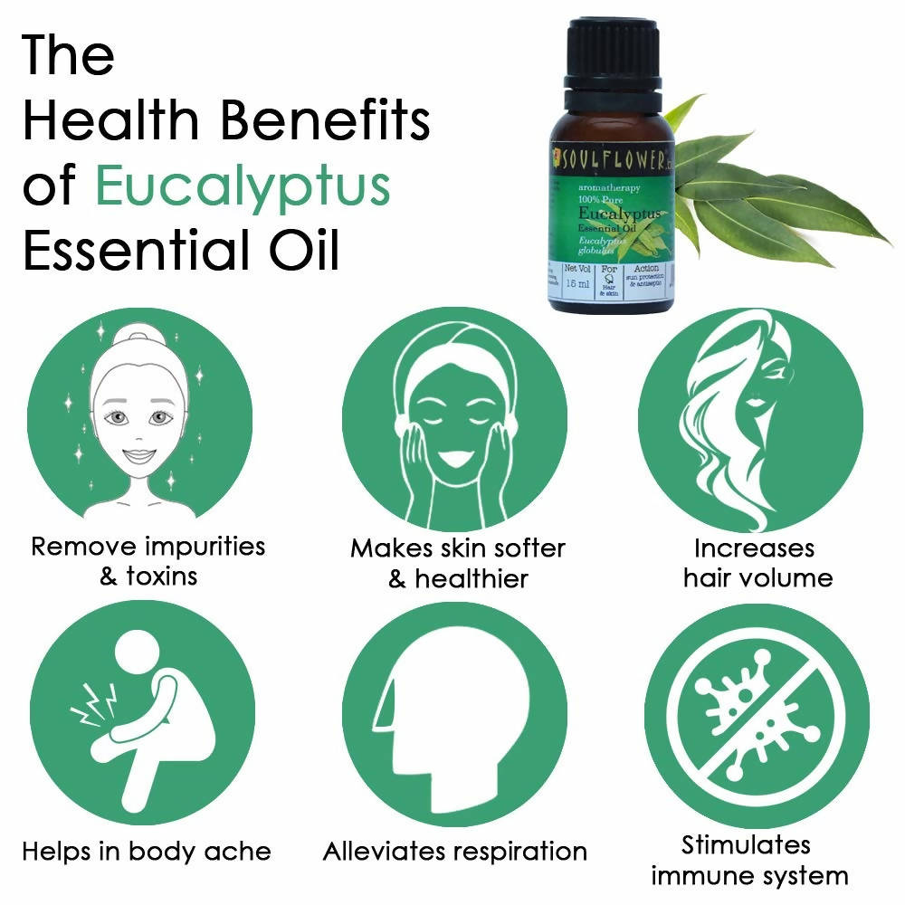 Soulflower Aromatherapy Pure Eucalyptus Essential Oil - Limited Time Offer | Grocsy