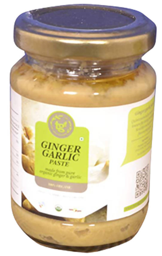 Terra Greens Organic Ginger Garlic Paste | Grocsy