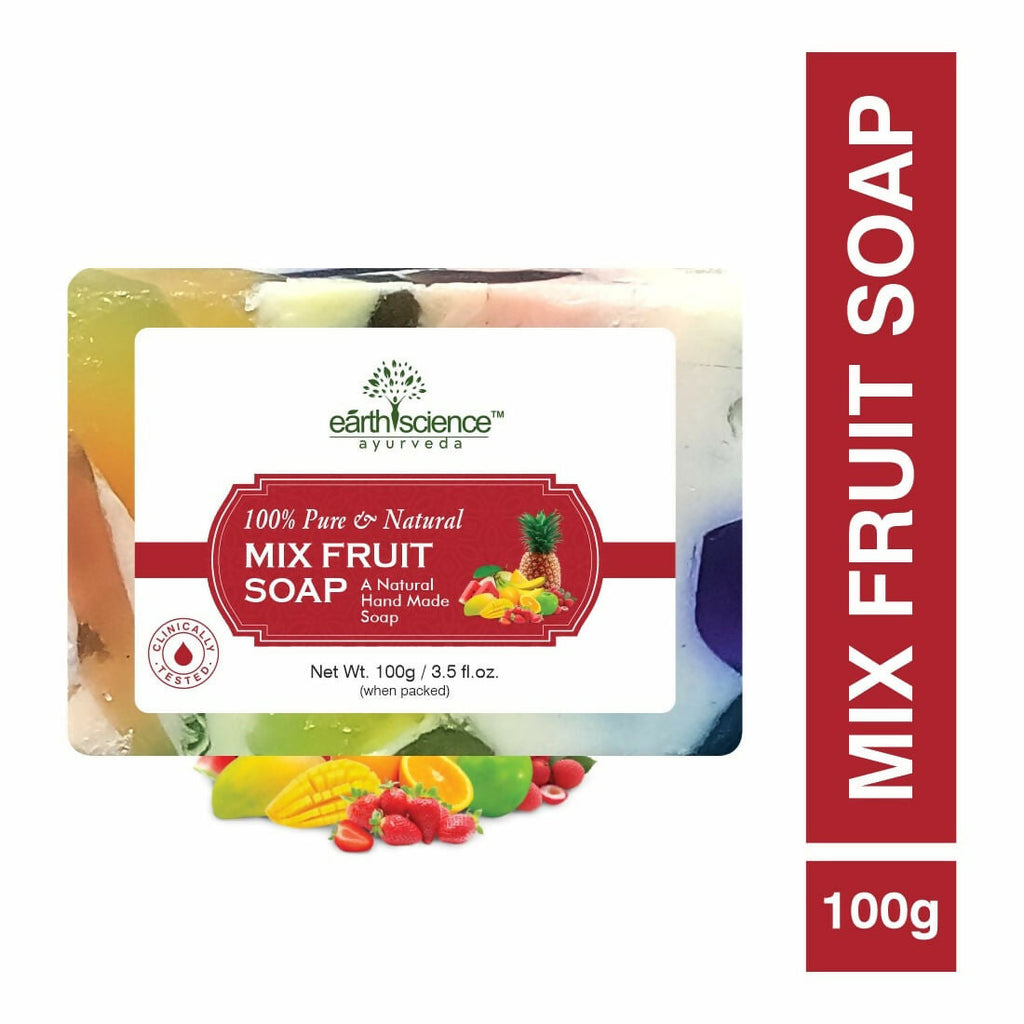 Earth Science Ayurveda Mix Fruit Bath Soap | Grocsy