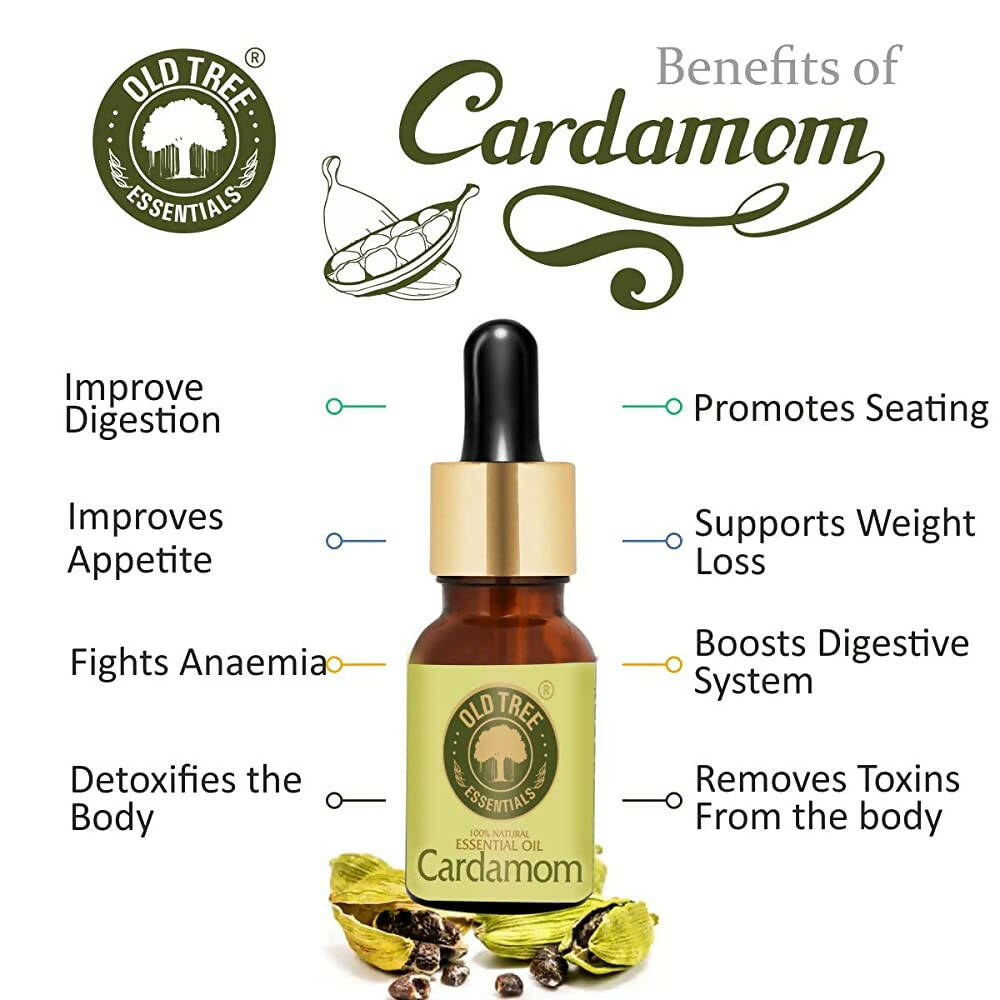 Old Tree Cardamom Essential Oil | Grocsy