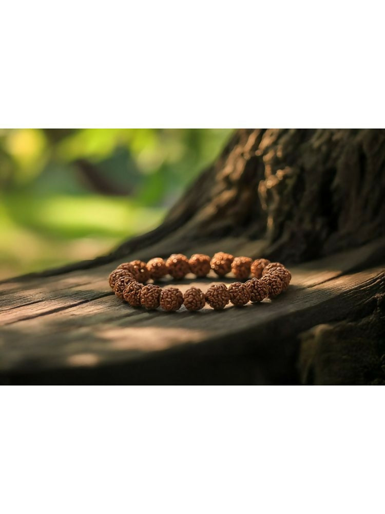 NVR 5 Mukhi Rudraksha Stretchable Bracelet