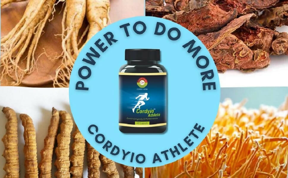 Cordy Herb Cordyio Athlete Capsules | Grocsy