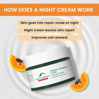 Alps Goodness Papaya, Vitamin C and AHAs Glow Night Cream | Grocsy