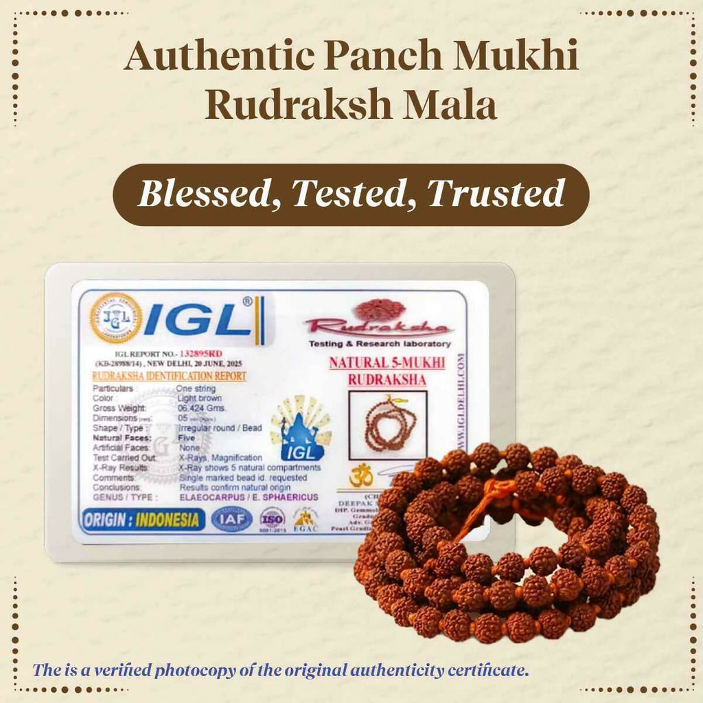 Pujashree Rudraksh Mala 4mm – Lightweight Sacred Bead Mala for Daily Wear & Meditation | Grocsy