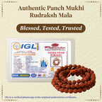 Pujashree Rudraksh Mala 4mm – Lightweight Sacred Bead Mala for Daily Wear & Meditation | Grocsy