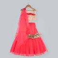 Pink Cow Fashions Golden & Pink Ghagra Choli With Frill | Grocsy