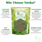 Yuvika Sonf Choti - Saunf Barik - Foeniculum Vulgare - Fennel Seeds Small | Grocsy