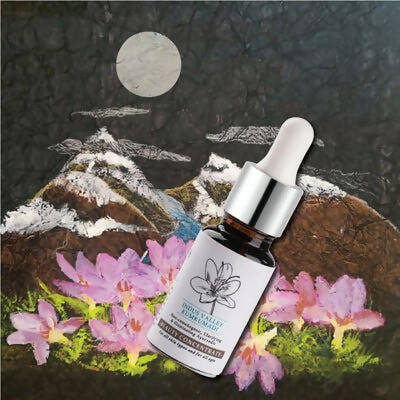 Timeless Beauty Secrets Indus Valley Organic Kumkumadi Beauty Oil | Grocsy