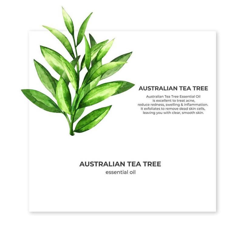 Juicy Chemistry Australian Tea Tree Essential Oil | Grocsy